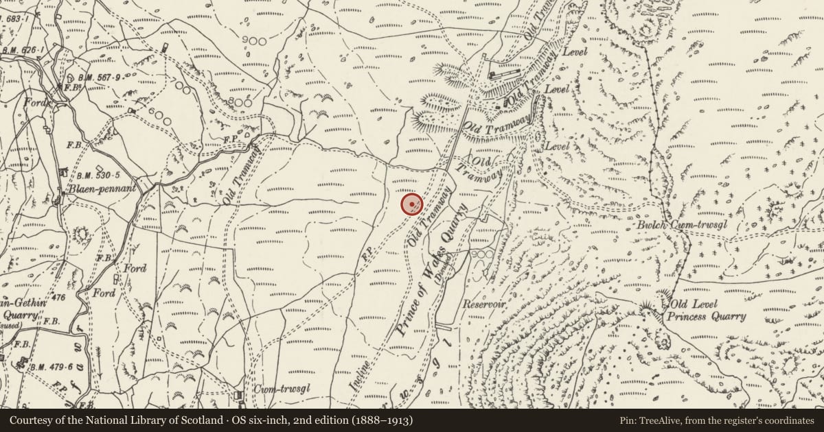 Ordnance Survey six-inch map, 2nd edition (1888–1913) covering the location of Prince of Wales Quarry, Dolbenmaen, Gwynedd, with a pin at the register's coordinates