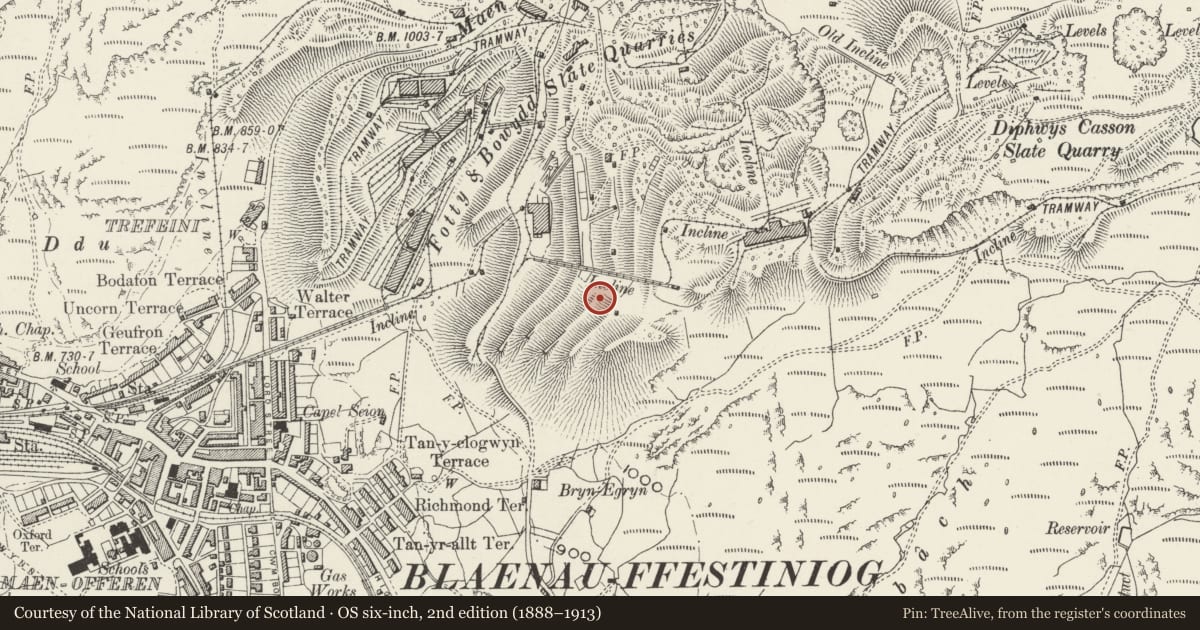 Ordnance Survey six-inch map, 2nd edition (1888–1913) covering the location of Diffwys Quarry, Ffestiniog, Gwynedd, with a pin at the register's coordinates