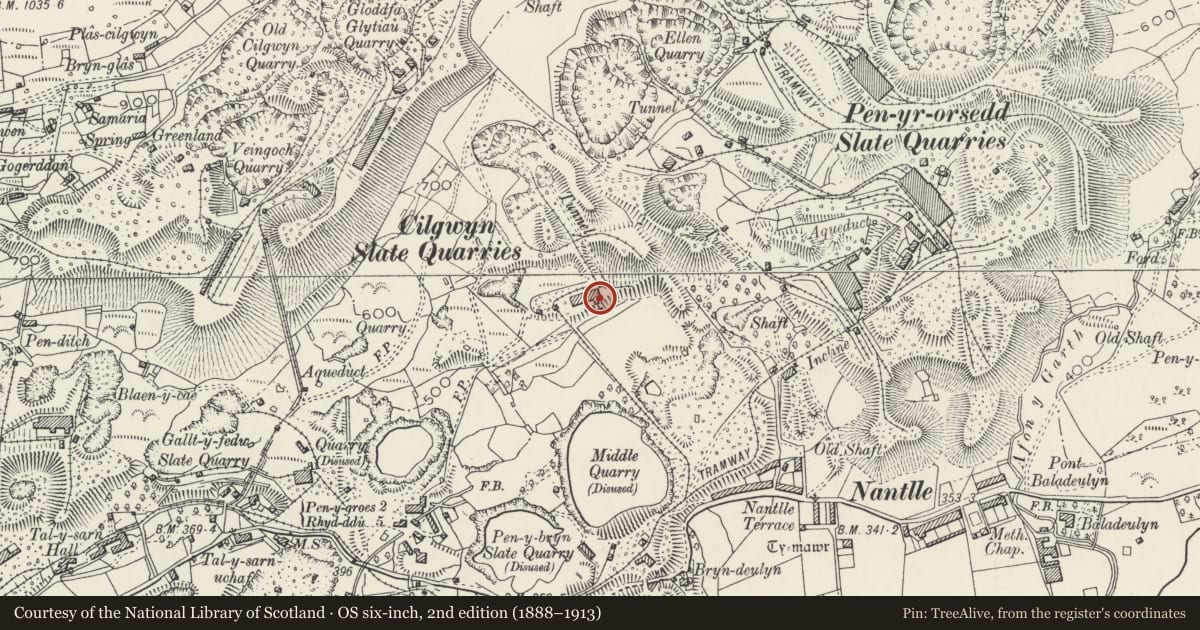 Ordnance Survey six-inch map, 2nd edition (1888–1913) covering the location of Pen Y Bryn Quarry and tips, Llanllyfni, Gwynedd, with a pin at the register's coordinates