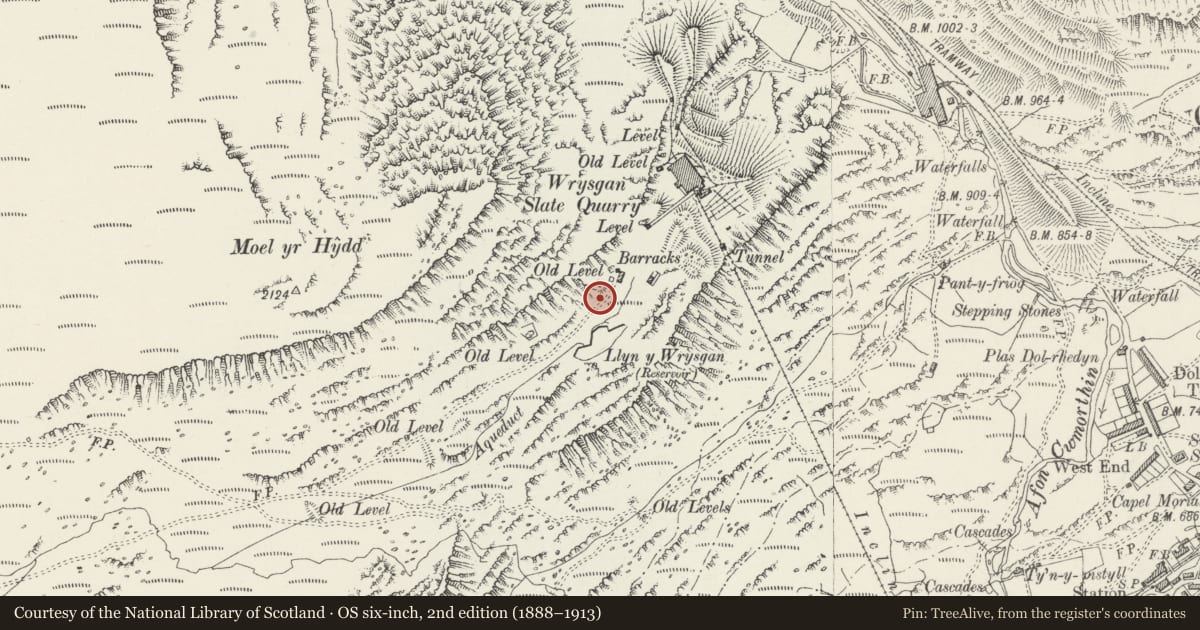 Ordnance Survey six-inch map, 2nd edition (1888–1913) covering the location of Wrysgan Quarry, Ffestiniog, Gwynedd, with a pin at the register's coordinates