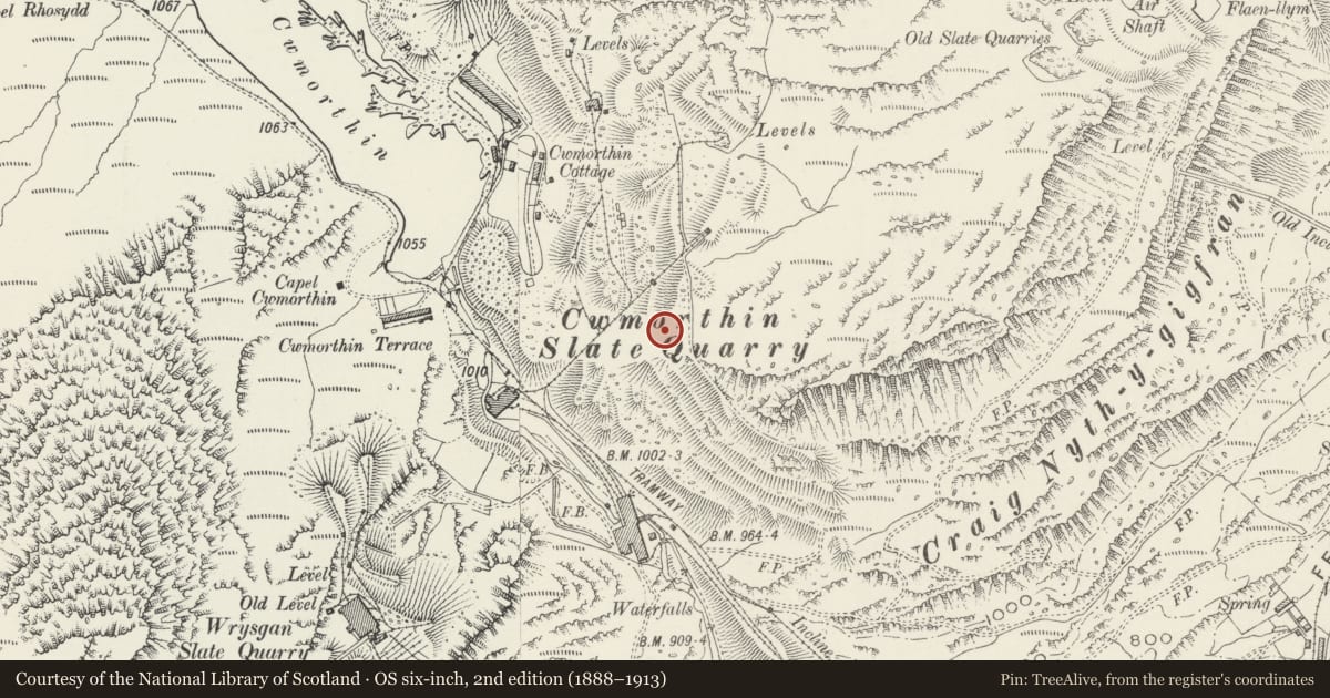 Ordnance Survey six-inch map, 2nd edition (1888–1913) covering the location of Cwmorthin slate quarry, mine, railway and ancillary features, Ffestiniog, Gwynedd, with a pin at the register's coordinates