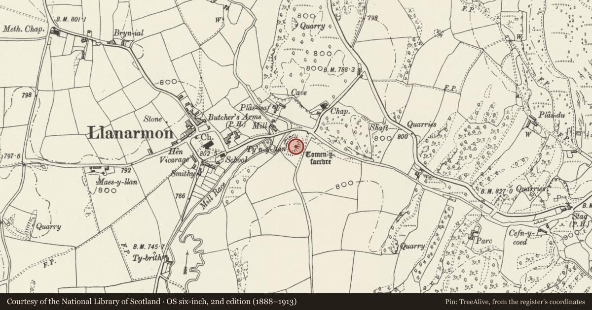 Ordnance Survey six-inch map, 2nd edition (1888–1913) covering the location of Tomen y Faerdre Castle Mound, Llanarmon-yn-Ial, Denbighshire, with a pin at the register's coordinates