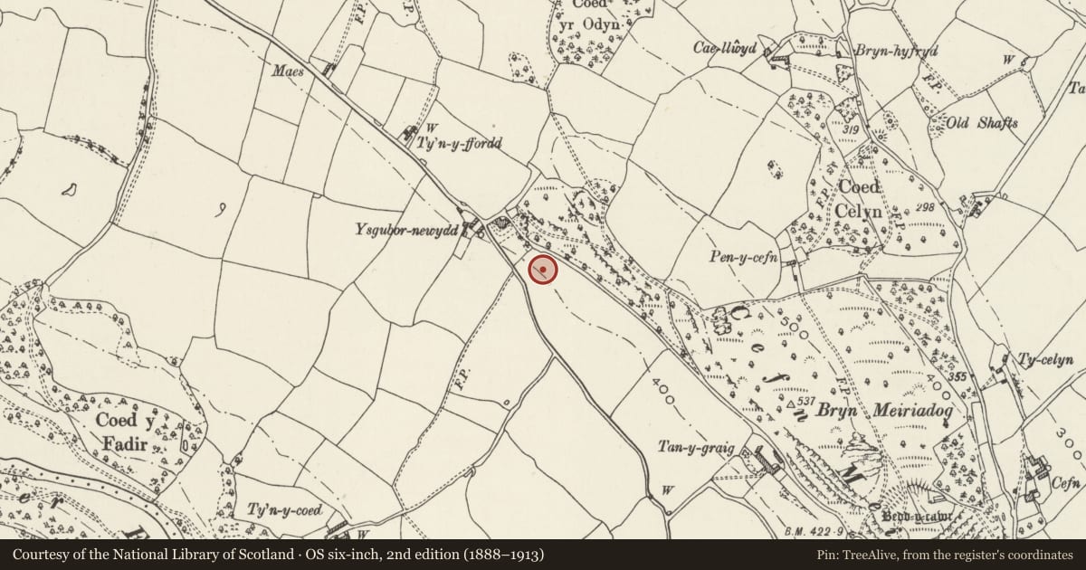 Ordnance Survey six-inch map, 2nd edition (1888–1913) covering the location of Tyddyn Bleiddyn Burial Chamber, Cefnmeiriadog, Denbighshire, with a pin at the register's coordinates