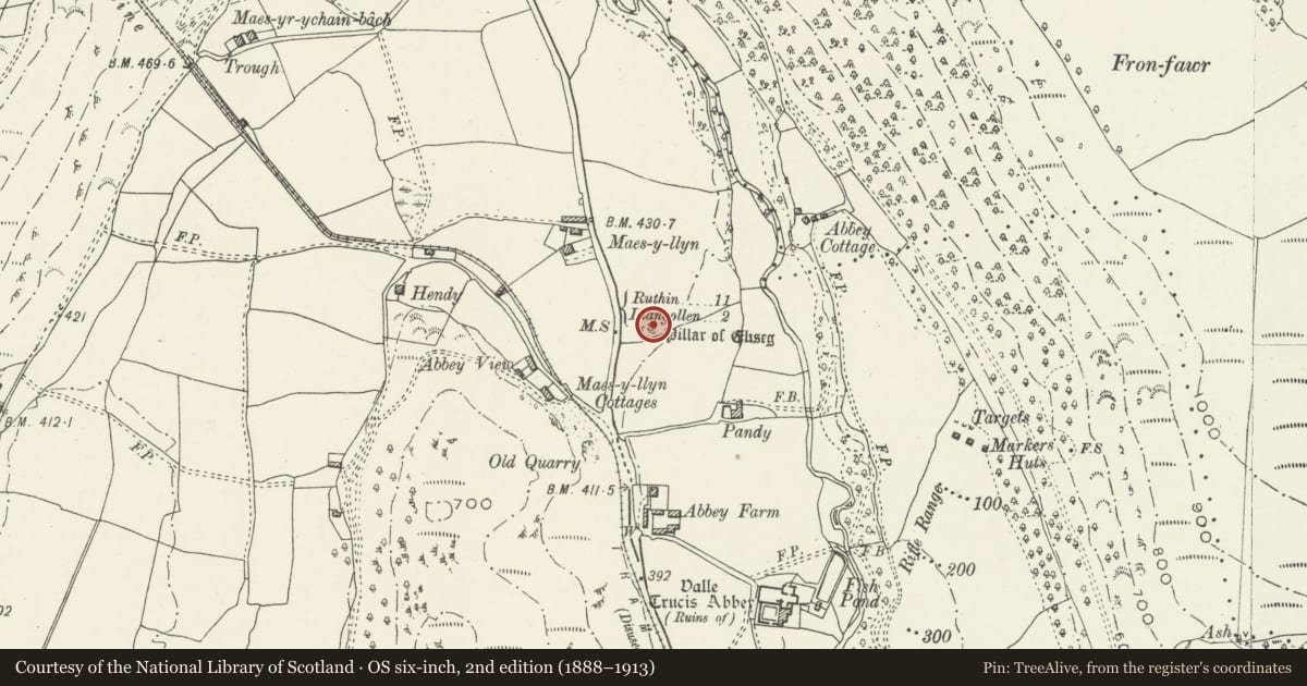Ordnance Survey six-inch map, 2nd edition (1888–1913) covering the location of Eliseg's Pillar & Tumulus, Llantysilio, Denbighshire, with a pin at the register's coordinates