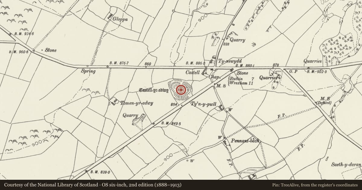 Ordnance Survey six-inch map, 2nd edition (1888–1913) covering the location of Tomen y Rhodwydd (Castell yr Adwy) Mound and Bailey Castle, Llandegla, Denbighshire, with a pin at the register's coordinates