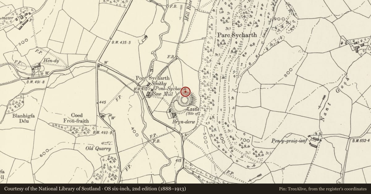 Ordnance Survey six-inch map, 2nd edition (1888–1913) covering the location of Sycharth Mound and Bailey Castle, Llansilin, Powys, with a pin at the register's coordinates