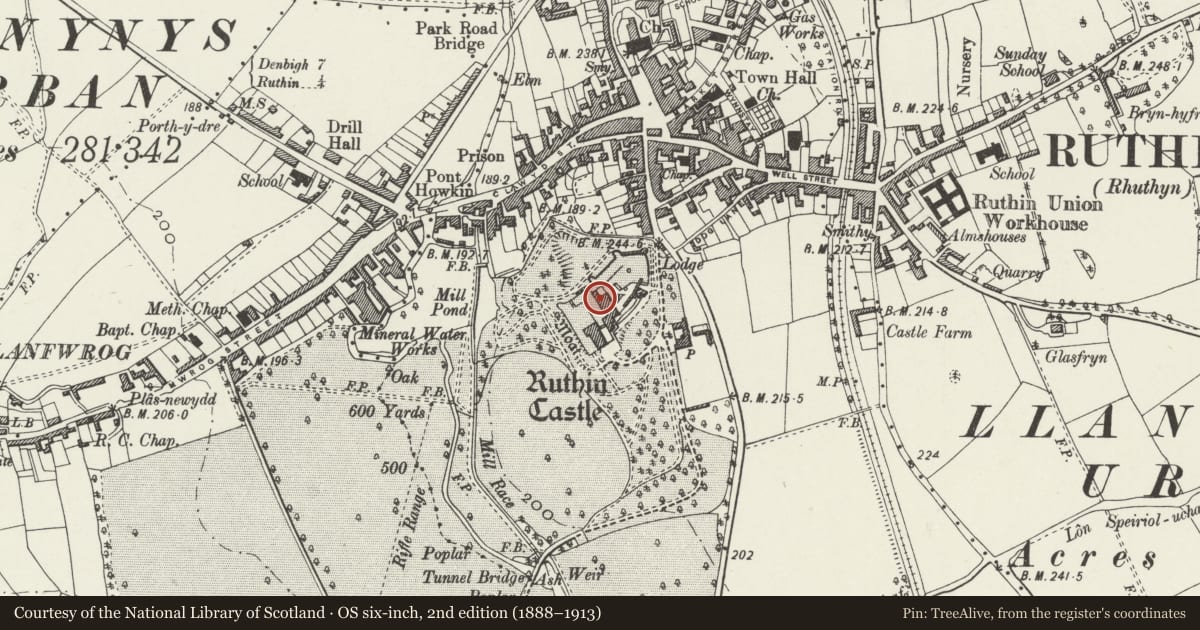 Ordnance Survey six-inch map, 2nd edition (1888–1913) covering the location of Ruthin Castle, Denbighshire, with a pin at the register's coordinates
