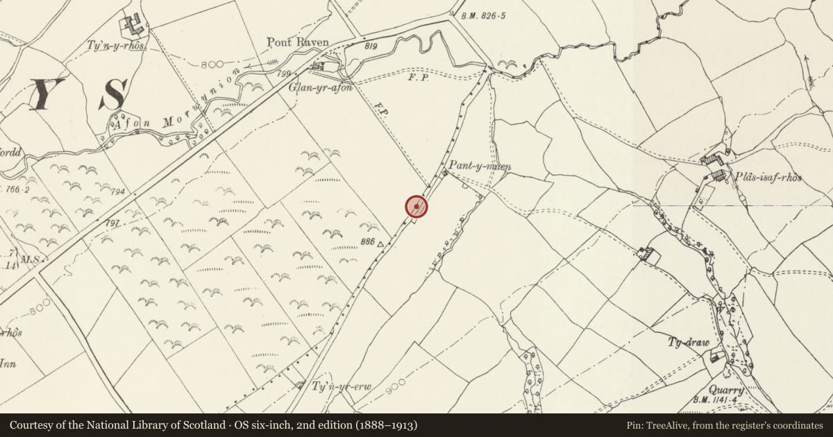 Ordnance Survey six-inch map, 2nd edition (1888–1913) covering the location of Pant y Maen Round Barrow, Bryneglwys, Denbighshire, with a pin at the register's coordinates