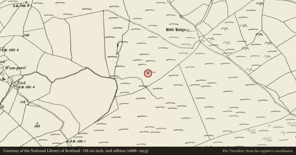 Ordnance Survey six-inch map, 2nd edition (1888–1913) covering the location of Bryn Beddau Round Barrows, Clocaenog, Denbighshire, with a pin at the register's coordinates