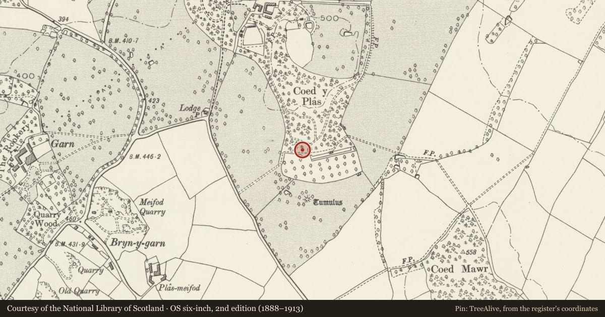 Ordnance Survey six-inch map, 2nd edition (1888–1913) covering the location of Coed Plas Round Barrow, Henllan, Denbighshire, with a pin at the register's coordinates