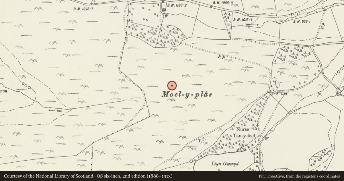 Ordnance Survey six-inch map, 2nd edition (1888–1913) covering the location of Moel y Plas Round Barrow, Llanarmon-yn-Ial, Denbighshire, with a pin at the register's coordinates