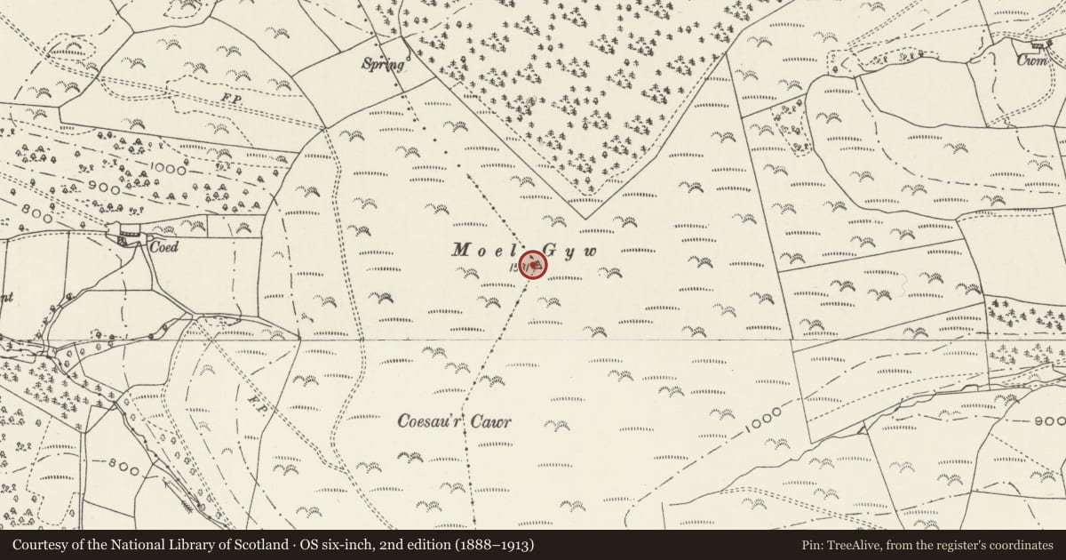 Ordnance Survey six-inch map, 2nd edition (1888–1913) covering the location of Moel Gyw Round Barrow, Llanbedr Dyffryn Clwyd, Denbighshire, with a pin at the register's coordinates