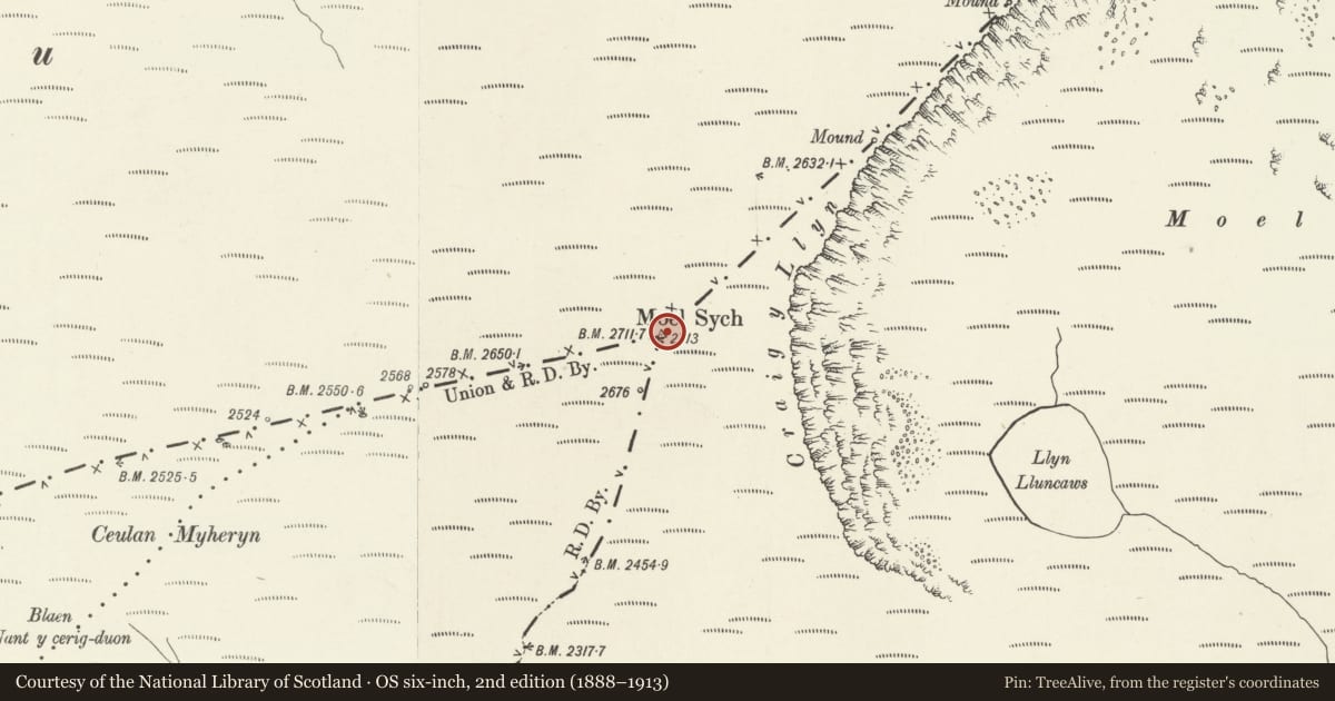 Ordnance Survey six-inch map, 2nd edition (1888–1913) covering the location of Moel Sych Round Barrow, Llandrillo, Powys, with a pin at the register's coordinates