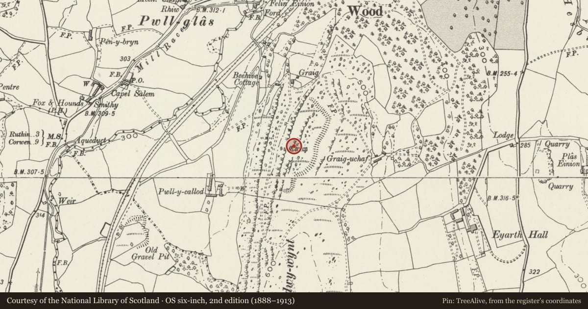 Ordnance Survey six-inch map, 2nd edition (1888–1913) covering the location of Craig Adwywynt Camp, Efenechtyd, Denbighshire, with a pin at the register's coordinates
