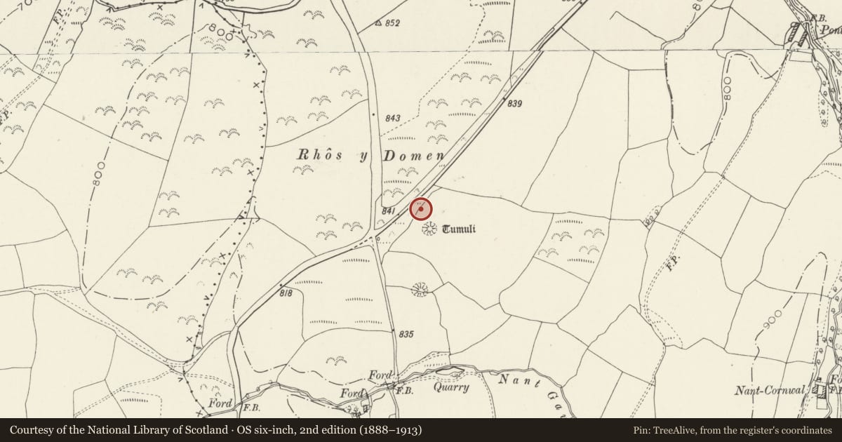 Ordnance Survey six-inch map, 2nd edition (1888–1913) covering the location of Rhos y Domen Round Barrows, Llansannan, Conwy, with a pin at the register's coordinates