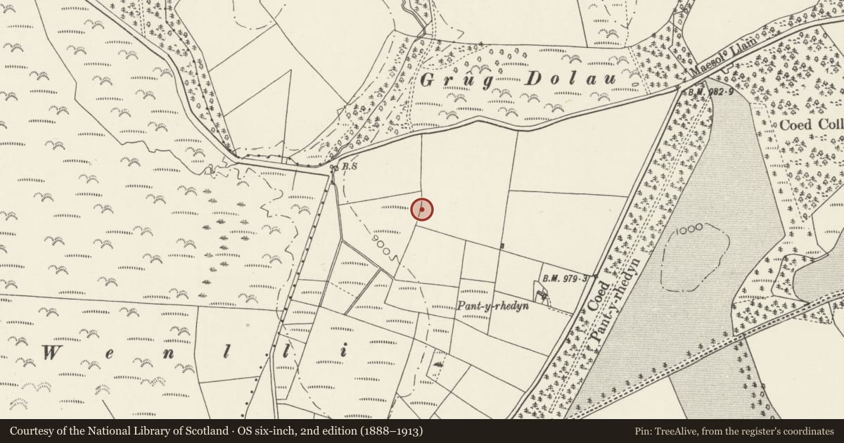 Ordnance Survey six-inch map, 2nd edition (1888–1913) covering the location of Pant-y-Rhedyn Earthwork, Llangernyw, Conwy, with a pin at the register's coordinates