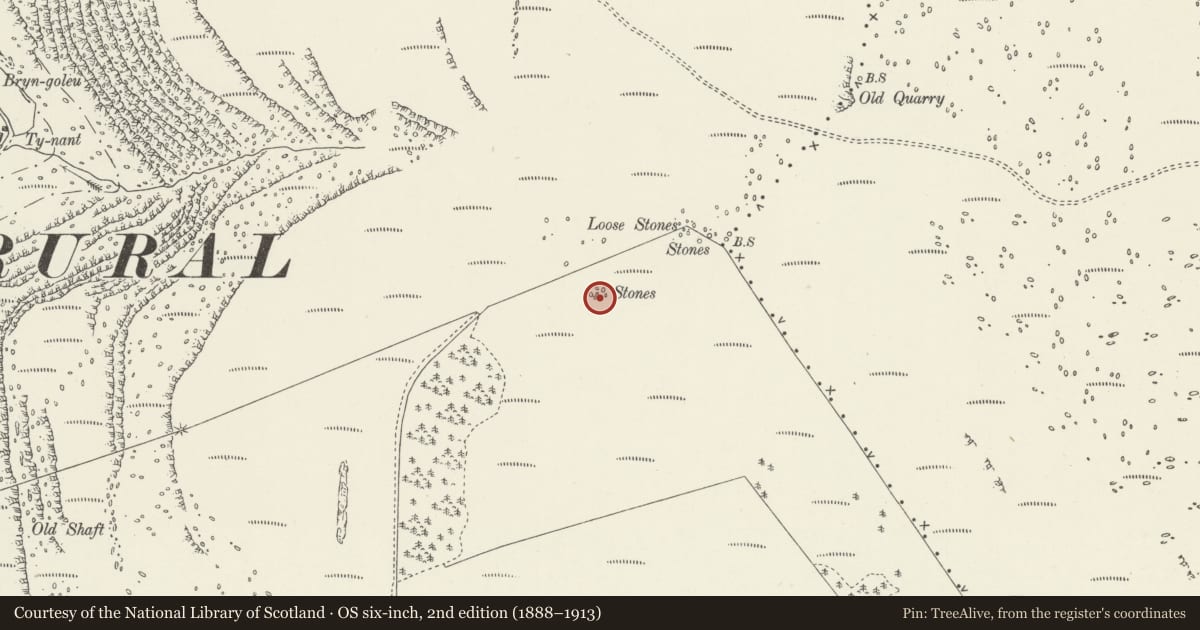 Ordnance Survey six-inch map, 2nd edition (1888–1913) covering the location of Creigiau Eglwyseg Stone Circle, Llantysilio, Denbighshire, with a pin at the register's coordinates