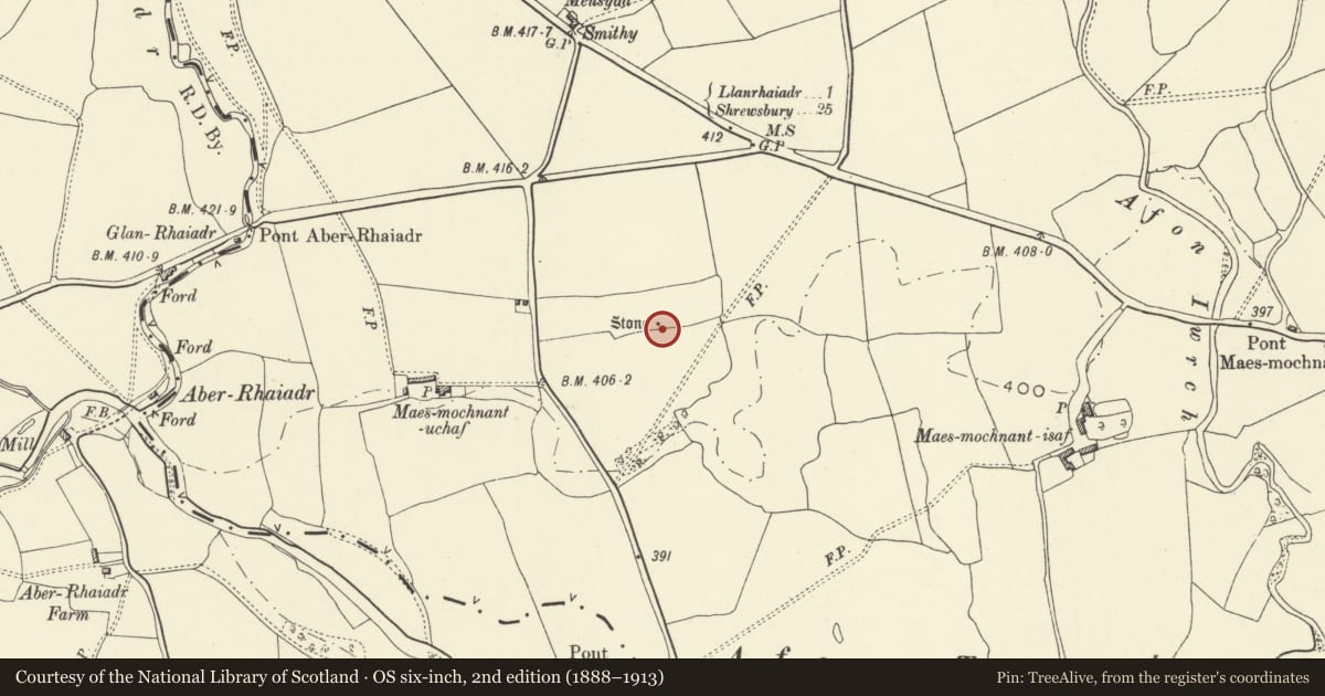 Ordnance Survey six-inch map, 2nd edition (1888–1913) covering the location of Maes-Mochnant Standing Stone, Llanrhaeadr-ym-Mochnant, Powys, with a pin at the register's coordinates