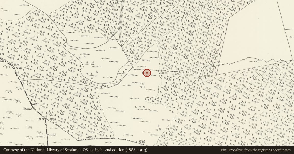 Ordnance Survey six-inch map, 2nd edition (1888–1913) covering the location of Wilderness Round Barrows, Llansantffraid Glyn Ceiriog, Denbighshire, with a pin at the register's coordinates