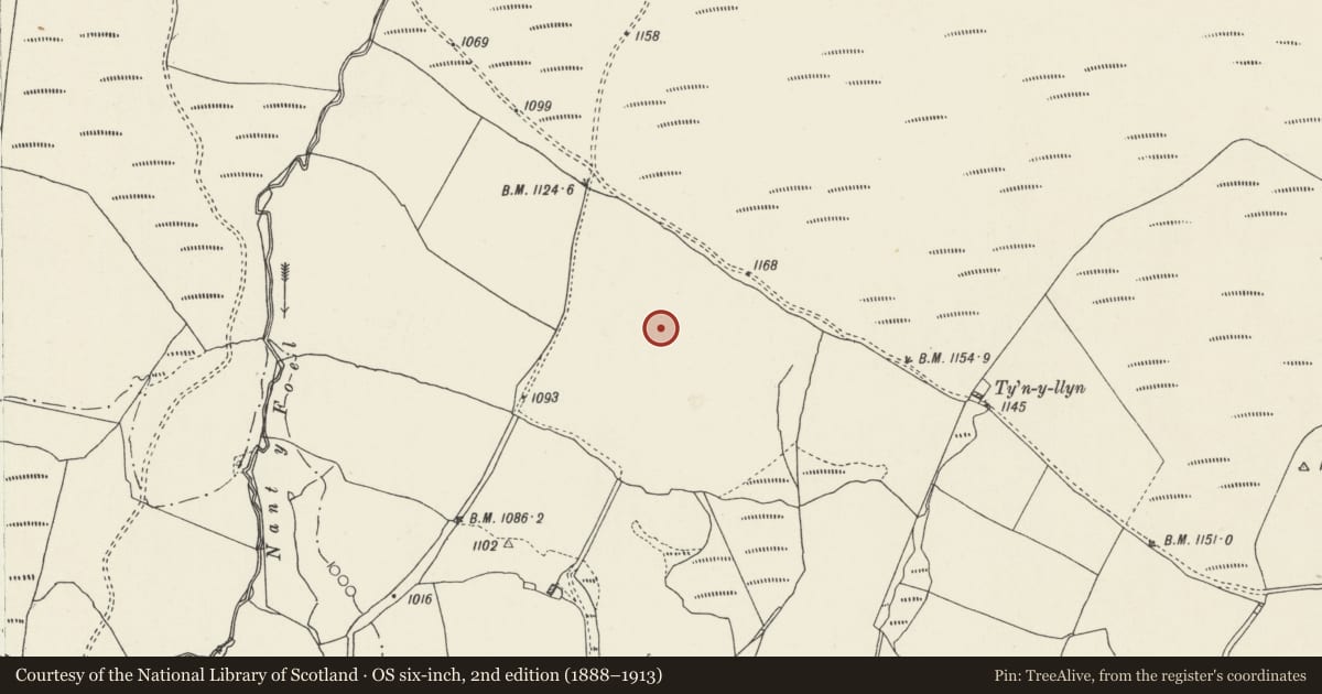 Ordnance Survey six-inch map, 2nd edition (1888–1913) covering the location of Cefn-y-Gadfa Stone Rows and Cists, Pentrefoelas, Conwy, with a pin at the register's coordinates