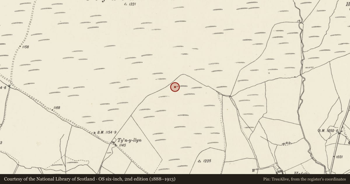 Ordnance Survey six-inch map, 2nd edition (1888–1913) covering the location of Hafod-y-Dre Stone Rows and Cairn, Pentrefoelas, Conwy, with a pin at the register's coordinates