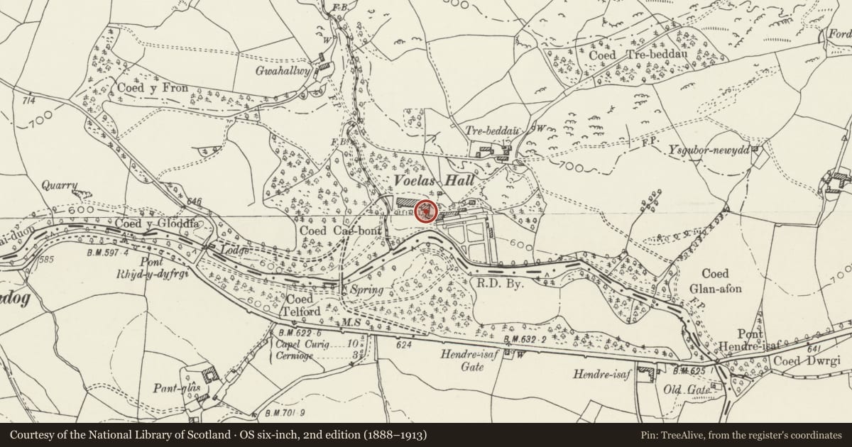 Ordnance Survey six-inch map, 2nd edition (1888–1913) covering the location of Brohomagli Stone (Now In Voelas Hall), Pentrefoelas, Conwy, with a pin at the register's coordinates
