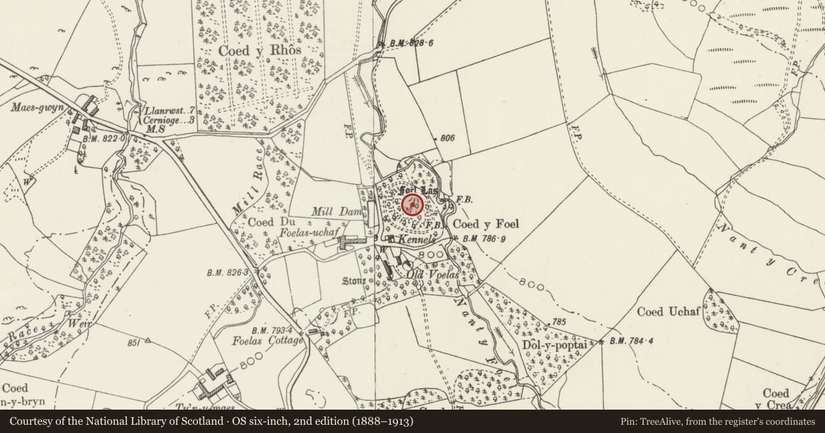 Ordnance Survey six-inch map, 2nd edition (1888–1913) covering the location of Y Foelas Castle Mound, Pentrefoelas, Conwy, with a pin at the register's coordinates