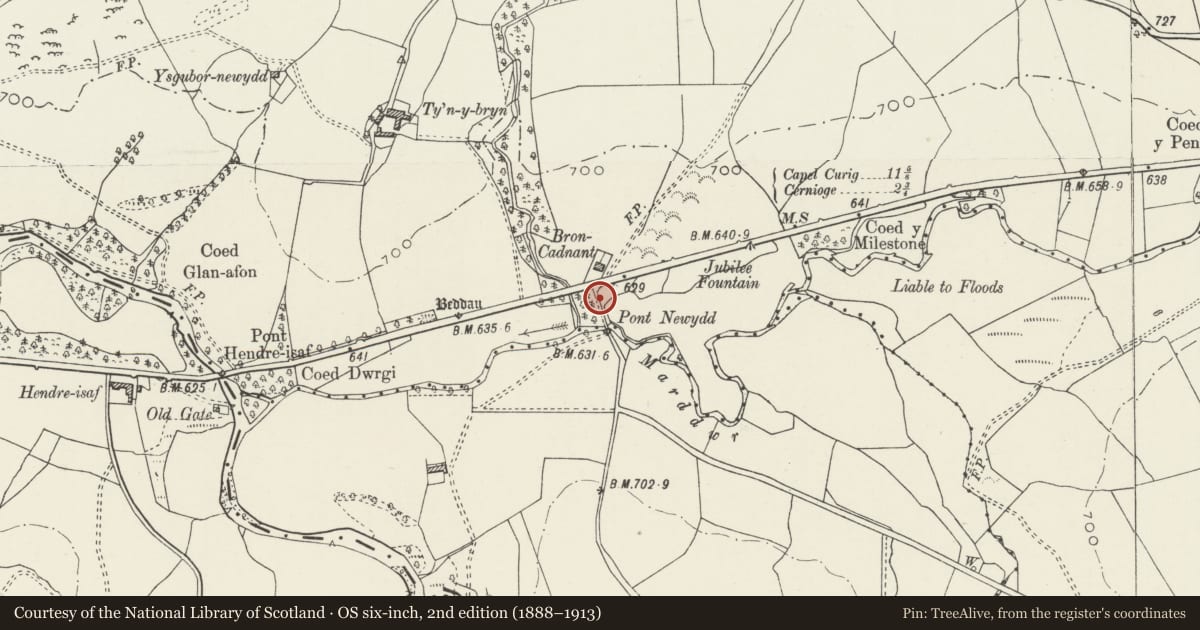 Ordnance Survey six-inch map, 2nd edition (1888–1913) covering the location of Pont Newydd (Northern), Pentrefoelas, Conwy, with a pin at the register's coordinates