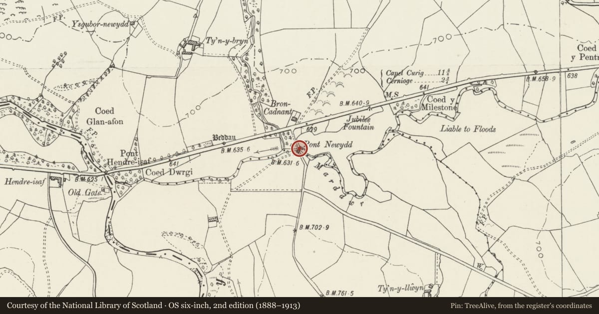 Ordnance Survey six-inch map, 2nd edition (1888–1913) covering the location of Pont Newydd (Southern), Pentrefoelas, Conwy, with a pin at the register's coordinates