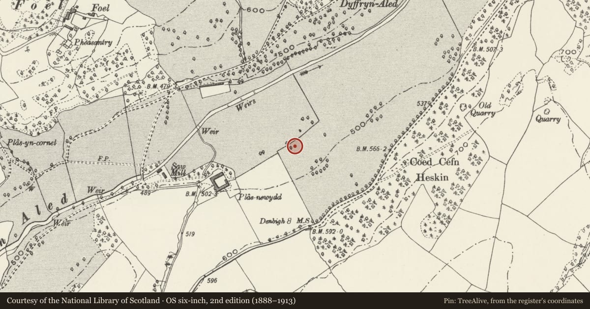 Ordnance Survey six-inch map, 2nd edition (1888–1913) covering the location of Plas Newydd Round Barrow, Llansannan, Conwy, with a pin at the register's coordinates