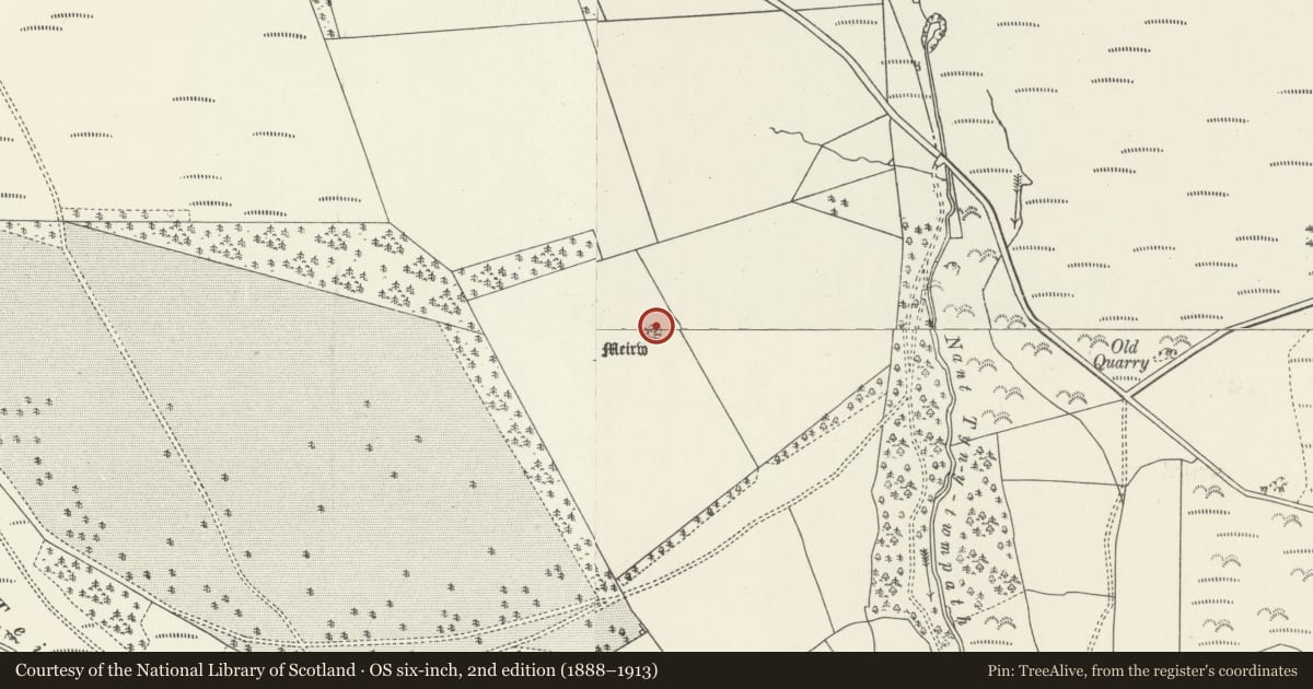 Ordnance Survey six-inch map, 2nd edition (1888–1913) covering the location of Tomen y Meirw, Llansantffraid Glyn Ceiriog, Wrexham, with a pin at the register's coordinates