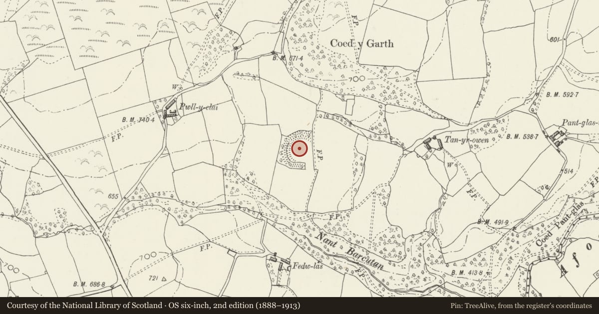 Ordnance Survey six-inch map, 2nd edition (1888–1913) covering the location of Y Garth Camp, Cyffylliog, Denbighshire, with a pin at the register's coordinates