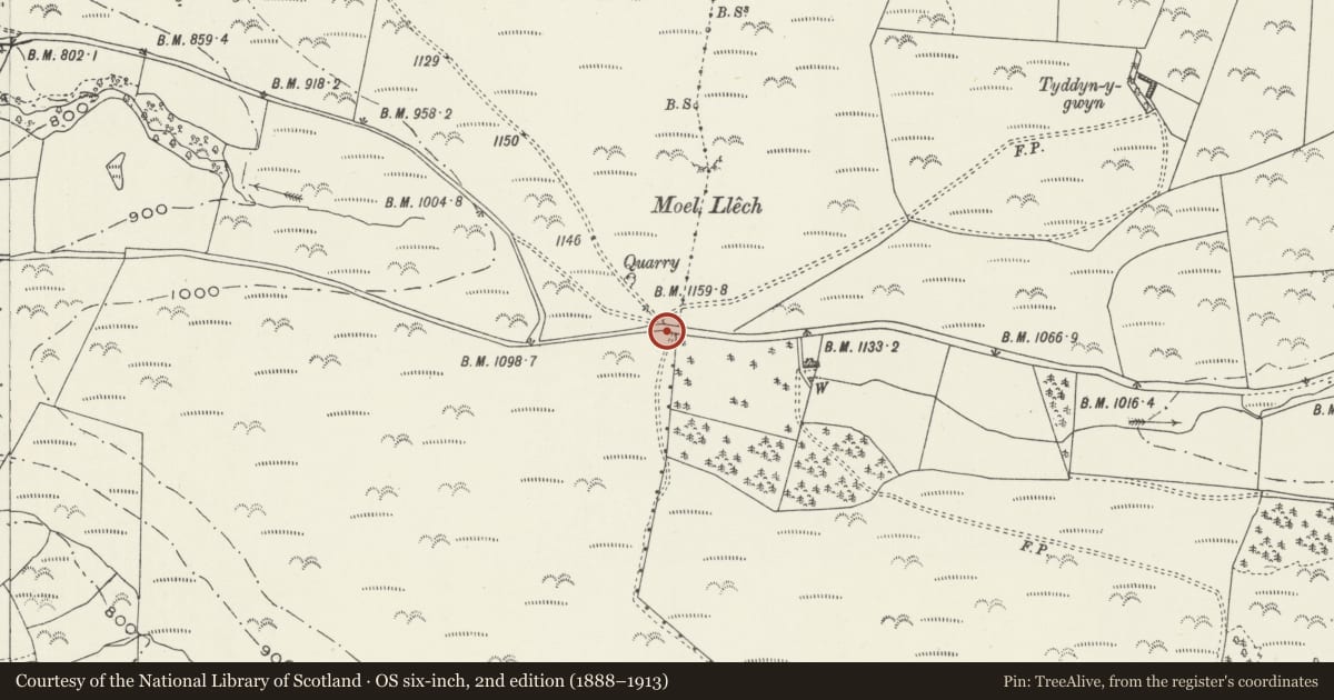 Ordnance Survey six-inch map, 2nd edition (1888–1913) covering the location of Moel Llech Round Barrow, Llanfair Dyffryn Clwyd, Denbighshire, with a pin at the register's coordinates