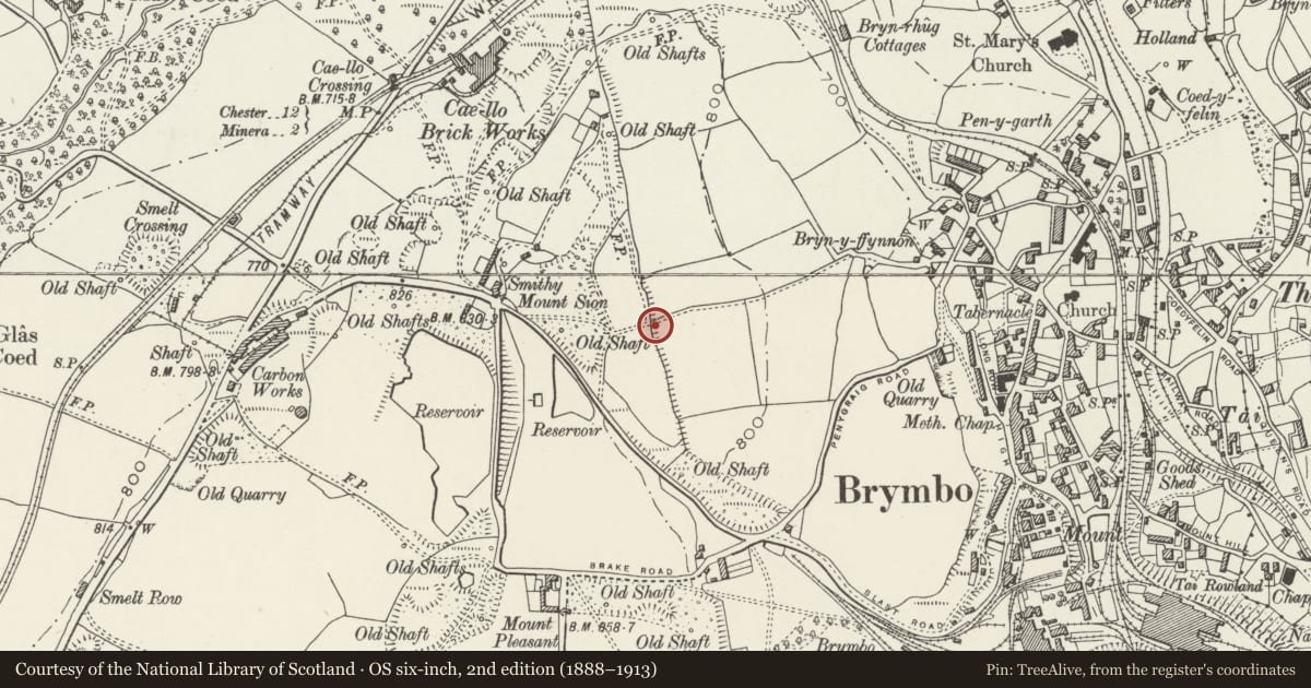 Ordnance Survey six-inch map, 2nd edition (1888–1913) covering the location of Offa's Dyke: Brymbo Hill Section, Wrexham, with a pin at the register's coordinates