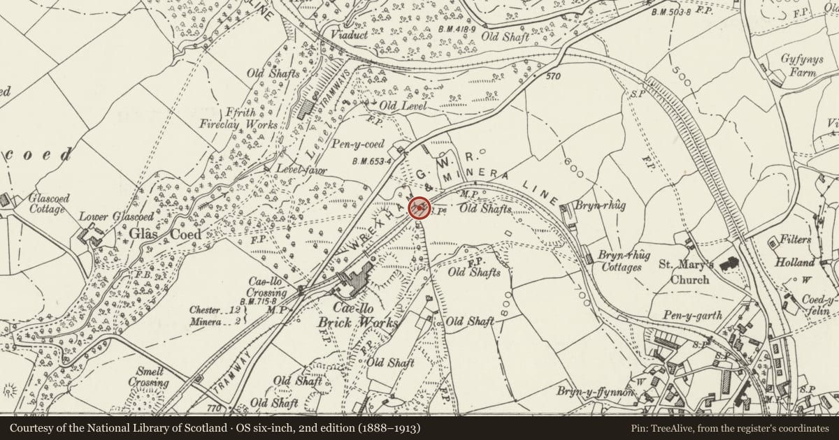 Ordnance Survey six-inch map, 2nd edition (1888–1913) covering the location of Offa's Dyke: Section S from Pen y Coed, Brymbo, Wrexham, with a pin at the register's coordinates