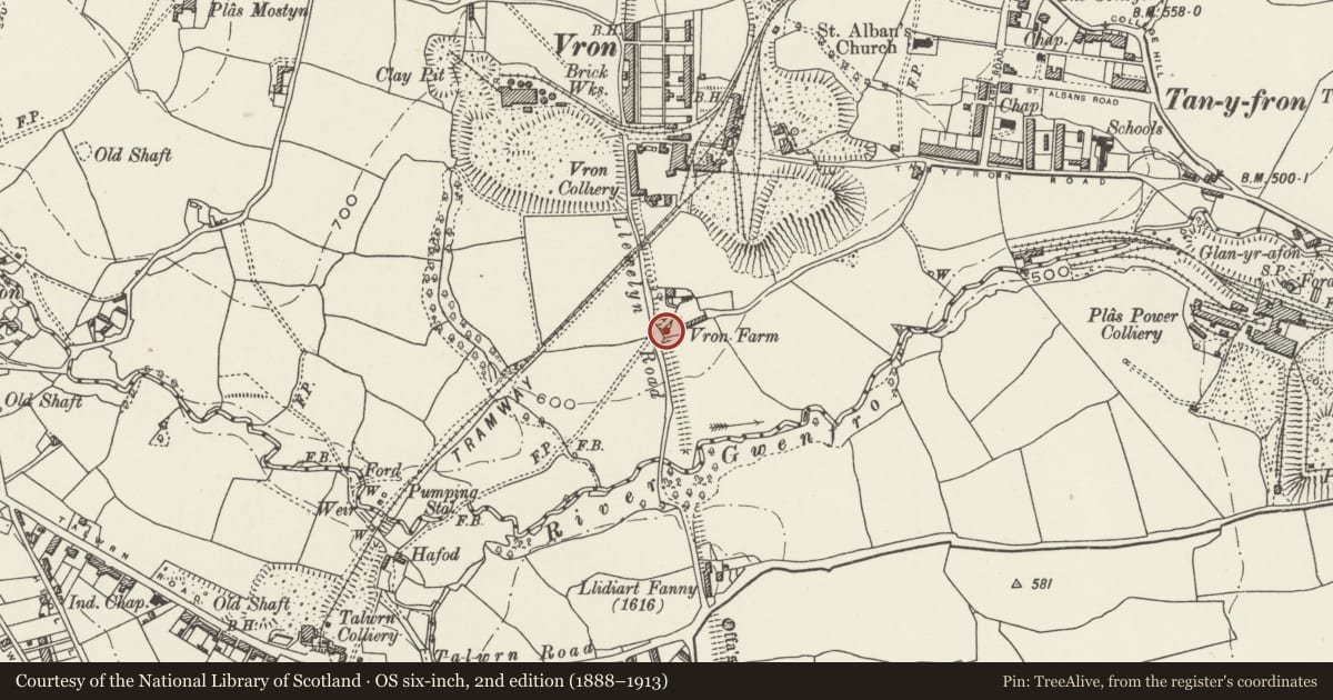 Ordnance Survey six-inch map, 2nd edition (1888–1913) covering the location of Offa's Dyke: Vron Farm Section, Brymbo, Wrexham, with a pin at the register's coordinates