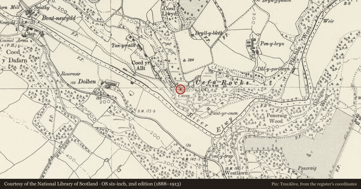 Ordnance Survey six-inch map, 2nd edition (1888–1913) covering the location of Cefn Cave, Cefnmeiriadog, Denbighshire, with a pin at the register's coordinates