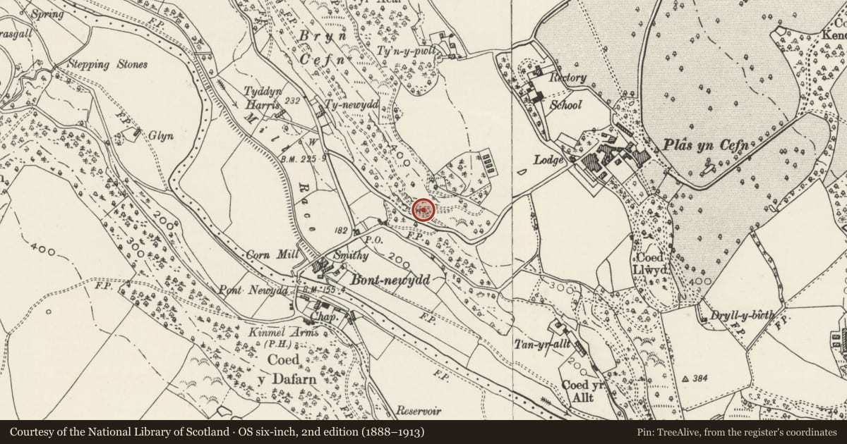 Ordnance Survey six-inch map, 2nd edition (1888–1913) covering the location of Bont Newydd Cave, Cefnmeiriadog, Denbighshire, with a pin at the register's coordinates