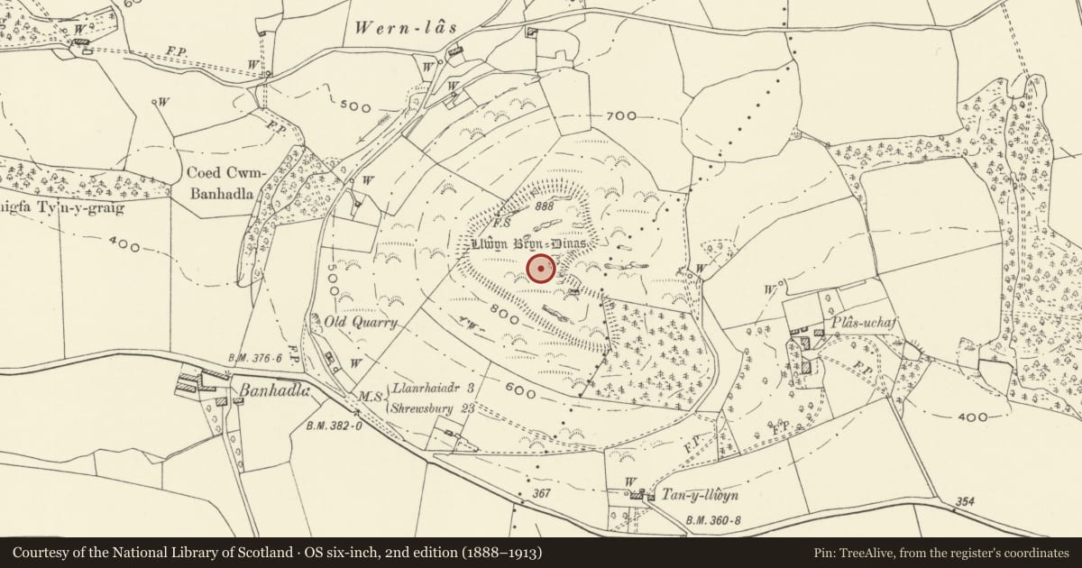 Ordnance Survey six-inch map, 2nd edition (1888–1913) covering the location of Llwyn Bryn-Dinas Camp, Llangedwyn, Powys, with a pin at the register's coordinates