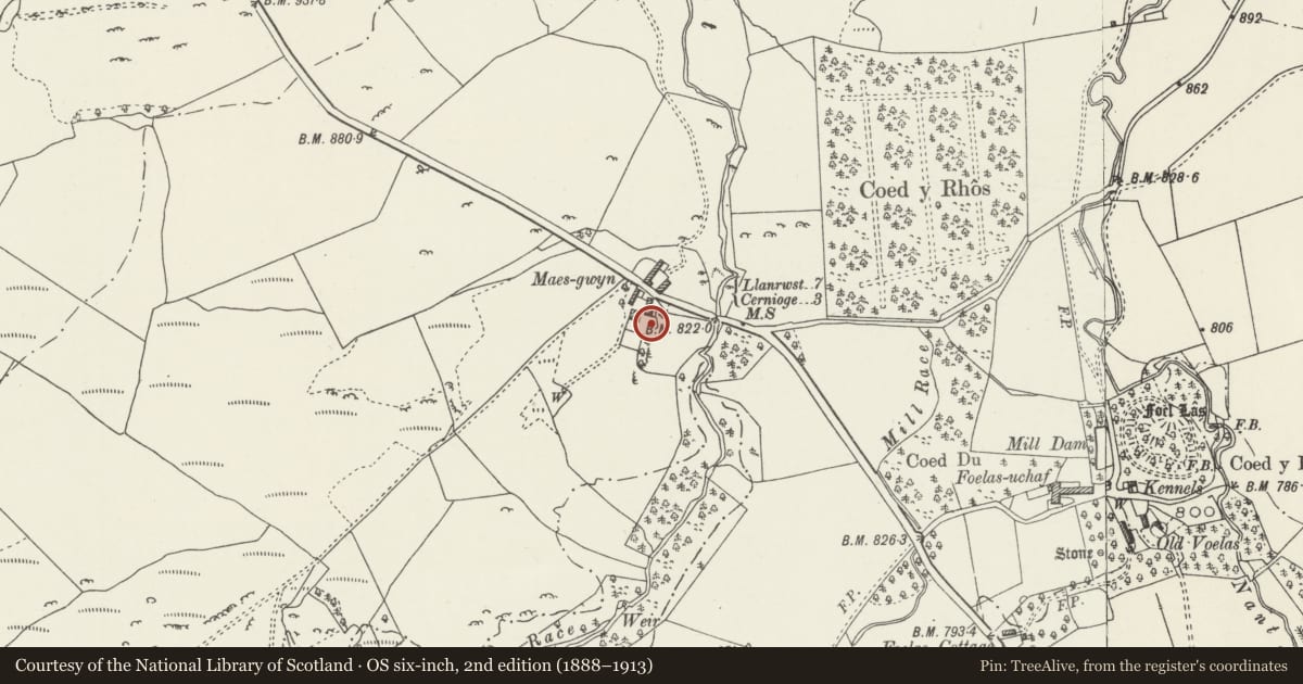 Ordnance Survey six-inch map, 2nd edition (1888–1913) covering the location of Maes-Gwyn Castle Mound, Pentrefoelas, Conwy, with a pin at the register's coordinates