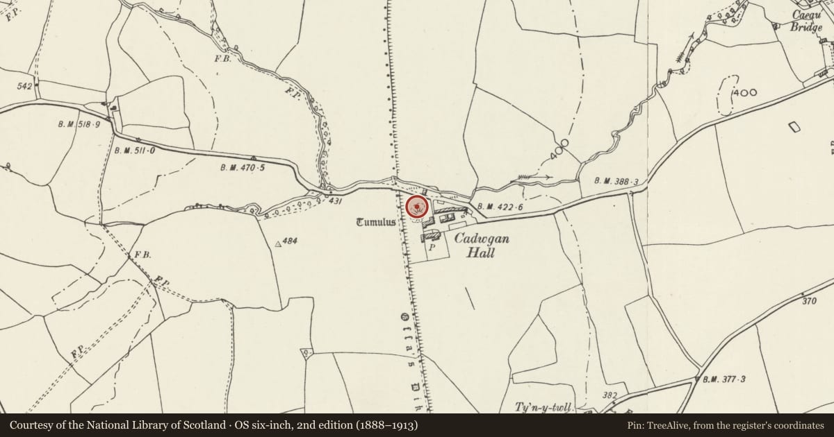 Ordnance Survey six-inch map, 2nd edition (1888–1913) covering the location of Cadwgan Hall Mound, Esclusham, Wrexham, with a pin at the register's coordinates