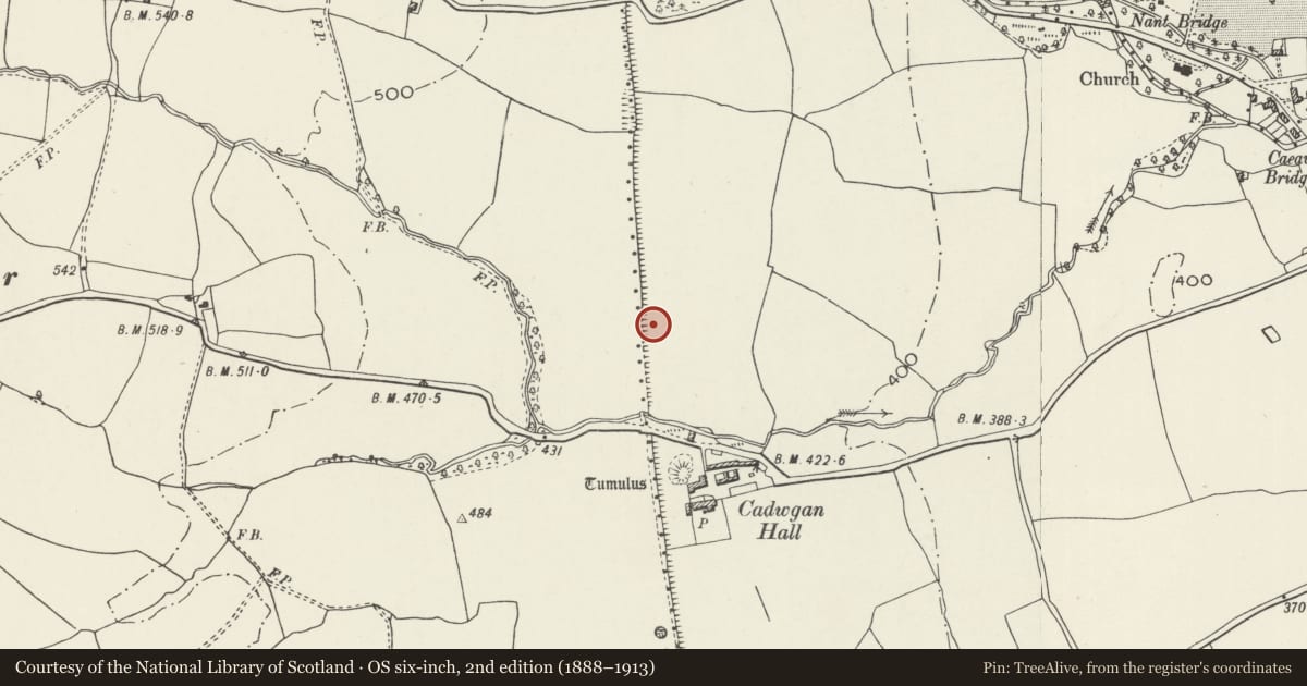 Ordnance Survey six-inch map, 2nd edition (1888–1913) covering the location of Offa's Dyke: Cadwgan Hall Section, extending from River Clywedog to the Railway, Esclusham, Wrexham, with a pin at the register's coordinates