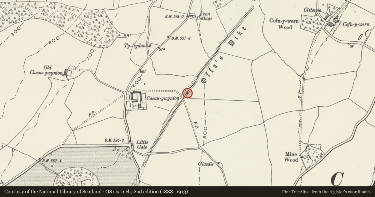 Ordnance Survey six-inch map, 2nd edition (1888–1913) covering the location of Offa's Dyke: Caeau-Gwynion Section, Chirk, Wrexham, with a pin at the register's coordinates