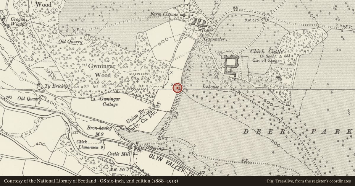 Ordnance Survey six-inch map, 2nd edition (1888–1913) covering the location of Offa's Dyke: Chirk Castle Section extending NE from Castle Mill, Wrexham, with a pin at the register's coordinates