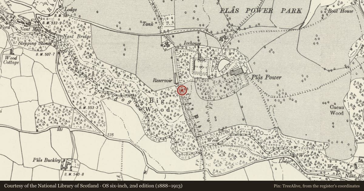 Ordnance Survey six-inch map, 2nd edition (1888–1913) covering the location of Offa's Dyke: Plas Power Section, Coedpoeth, Wrexham, with a pin at the register's coordinates