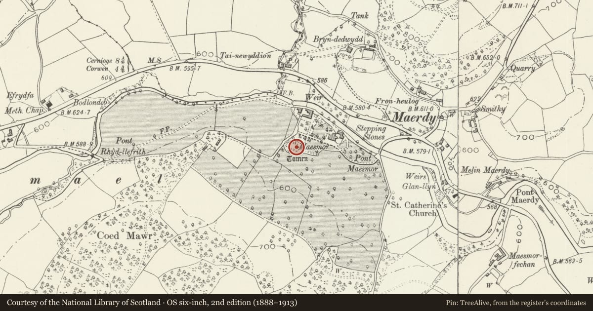Ordnance Survey six-inch map, 2nd edition (1888–1913) covering the location of Maesmor Hall Castle Mound, Llangwm, Conwy, with a pin at the register's coordinates