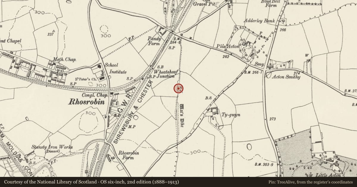 Ordnance Survey six-inch map, 2nd edition (1888–1913) covering the location of Wat's Dyke: Section W of Ty-Gwyn, Gwersyllt, Wrexham, with a pin at the register's coordinates