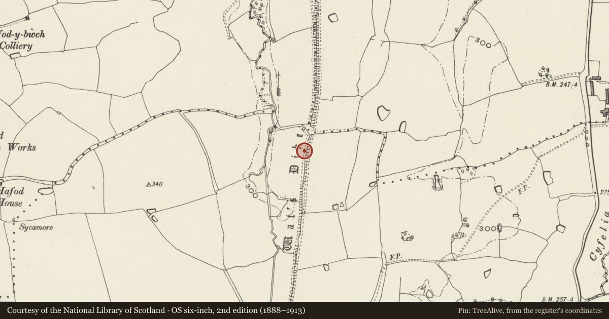 Ordnance Survey six-inch map, 2nd edition (1888–1913) covering the location of Wat's Dyke: Section extending from Middle Sontley to Black Brook Bridge, Esclusham, Wrexham, with a pin at the register's coordinates