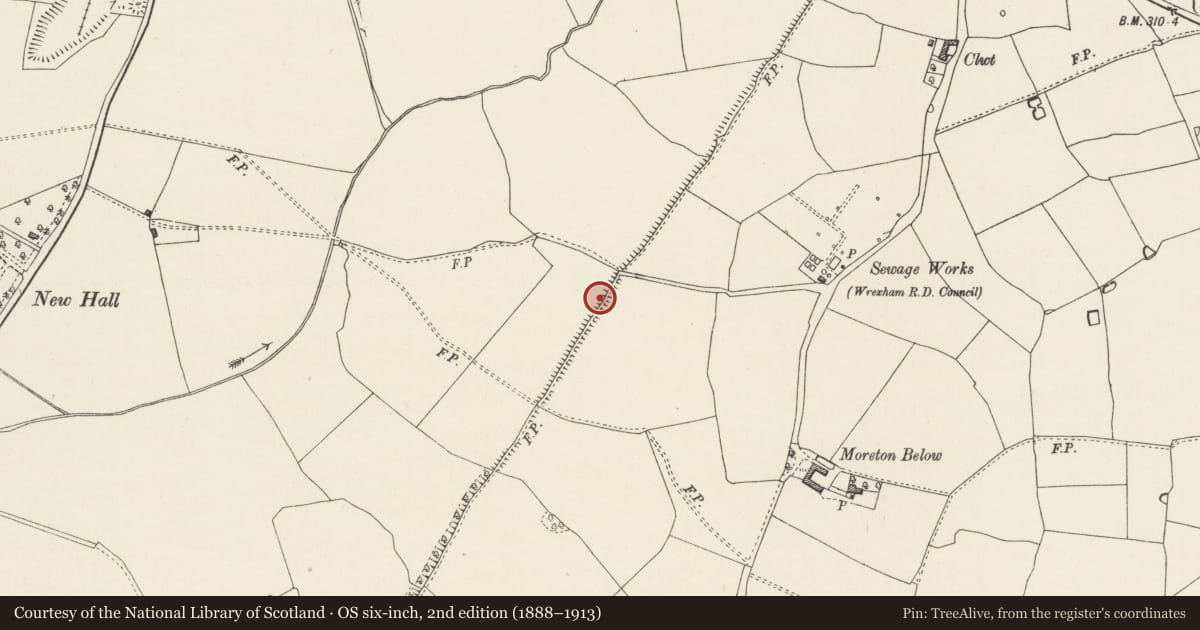Ordnance Survey six-inch map, 2nd edition (1888–1913) covering the location of Wat's Dyke: Section extending from Black Brook Bridge to Pentre-Clawdd, Ruabon, Wrexham, with a pin at the register's coordinates