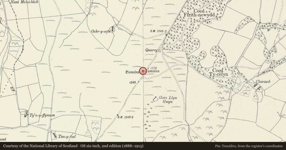 Ordnance Survey six-inch map, 2nd edition (1888–1913) covering the location of Round Cairn 648m NE of Tan-y-Foel, Llansannan, Conwy, with a pin at the register's coordinates